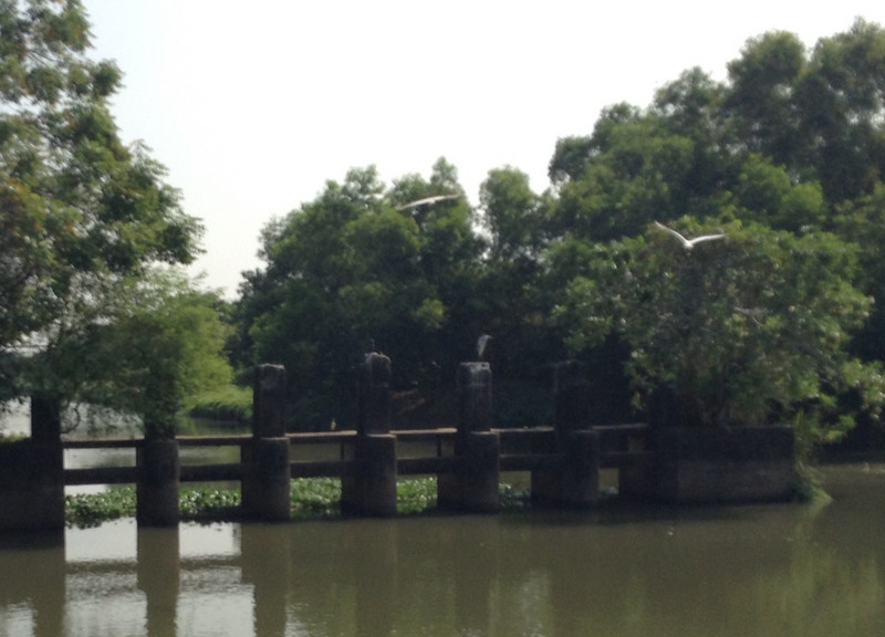 along the sanctuary canal