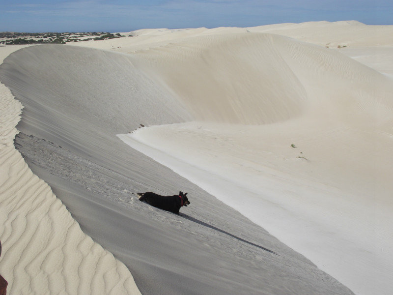 Fowler Bay sand dunes