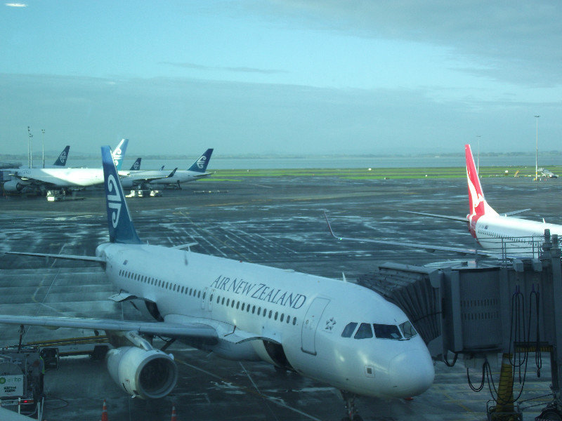 Back in Auckland - flying visit!
