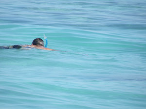 Snorkeling (2)