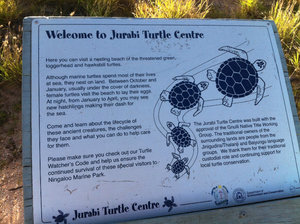 Turtle sanctuary