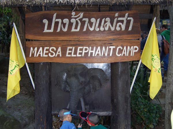 Measa Elephant Camp!