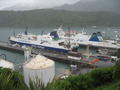 The ferries at Picton