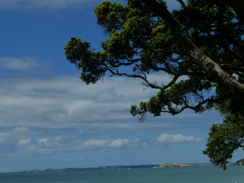 Auckland - view South to sea