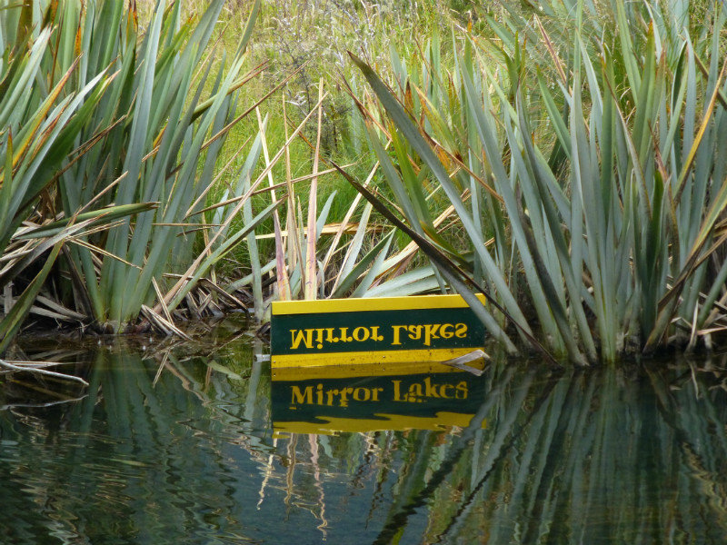 Milford Sound - Mirror lakes 1