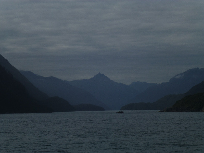 Doubtful Sound (19)