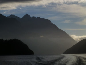 Lake Manapouri (5)