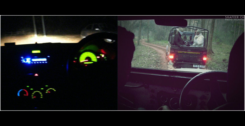 Night and morning drive; Dandeli Forest