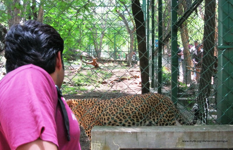 Swamy with a Cheetah