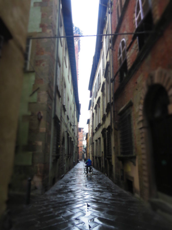 The Streets of Lucca