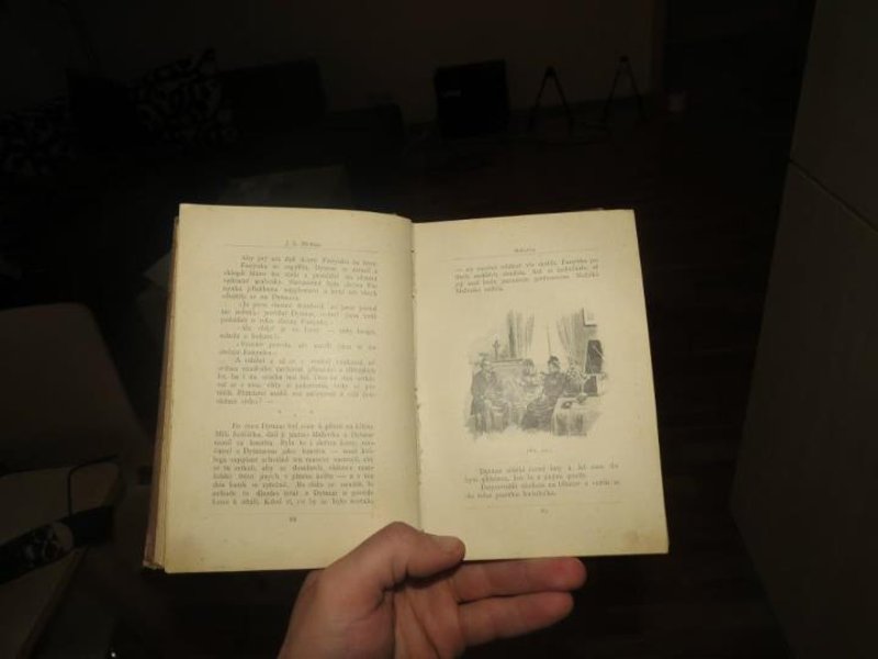 Pages in the old book