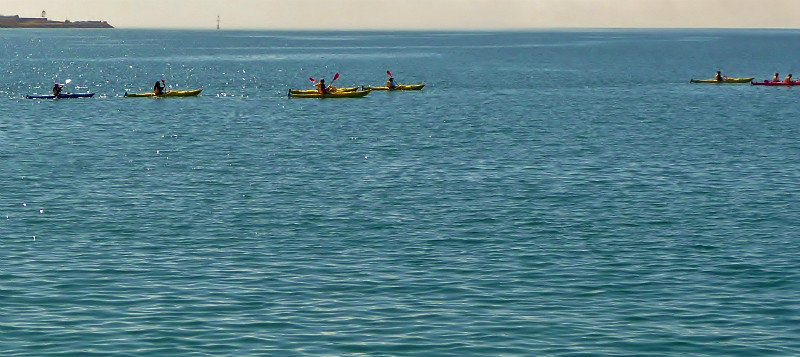 KAYAKERS IN THE BAY