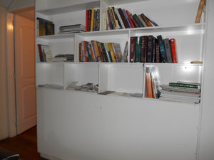 Filled bookcase