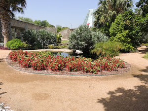 San Antonio Botanical Garden
