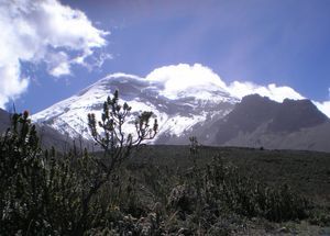 Volcano Chimborazo 