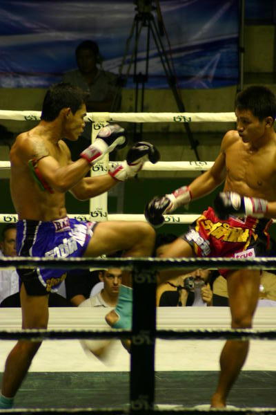 mauy thai boxing
