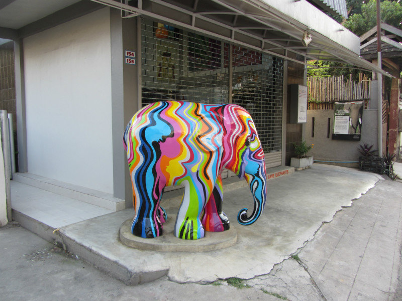 Stripy elephant near the Parami Guesthouse