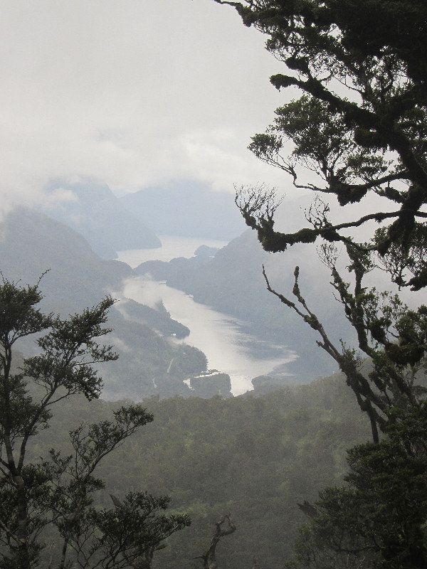 First glimpse of Doubtful Sound