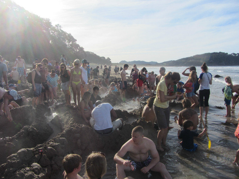 Coromandel - Hot Water Beach