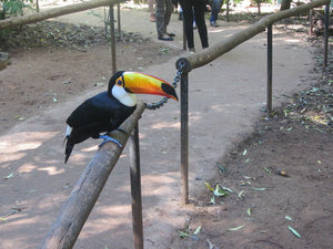 Parque das Aves