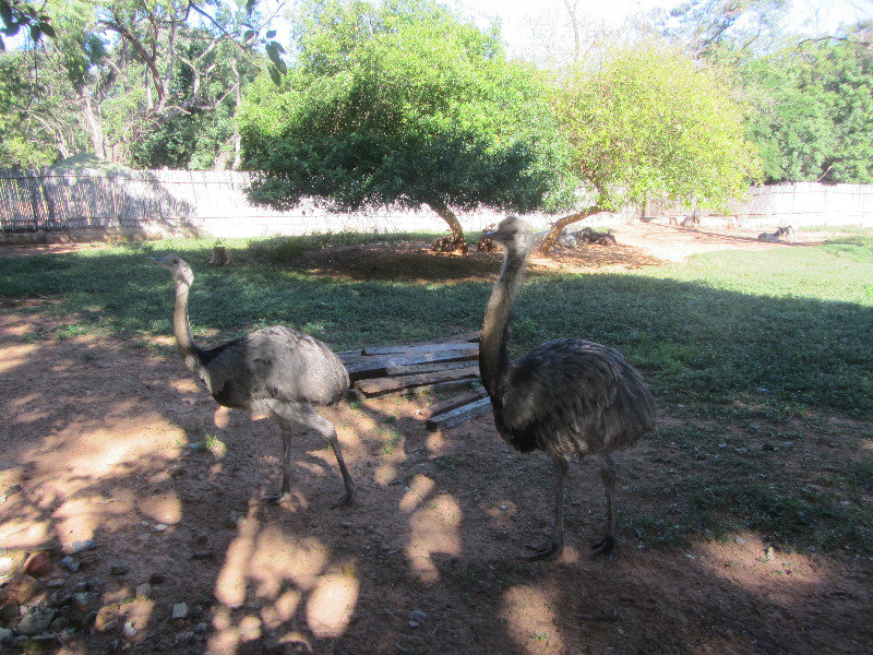 Asuncion - Botanic Gardens & Zoo