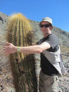 Cactus hugging in Purmamarca