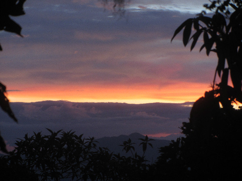 Sunset from Podocarpus National Park
