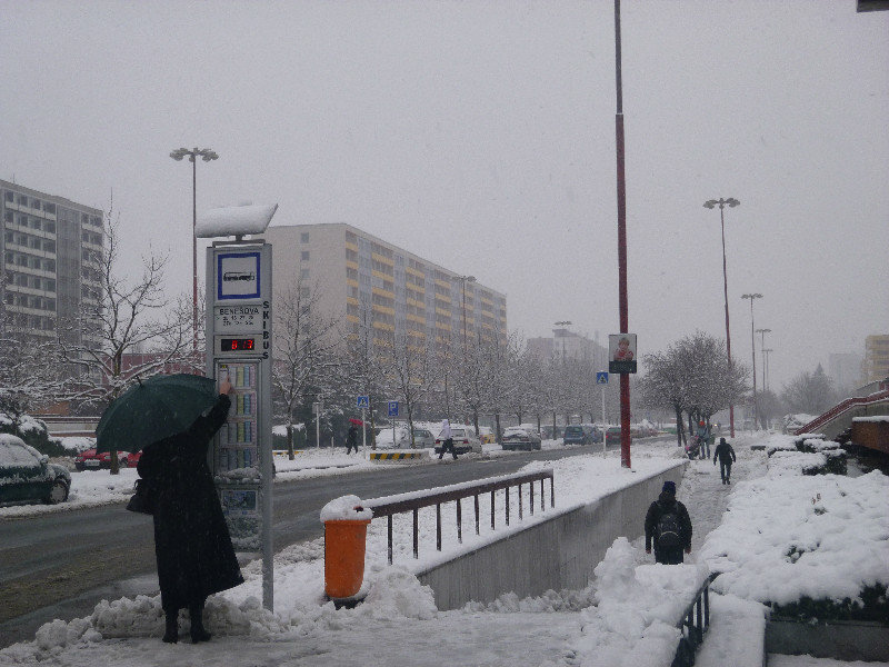 Snow at the Bus Stop in Mid-April