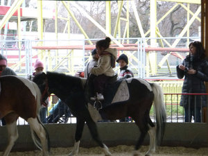 Ava Rides a Horse