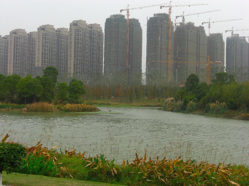 A Big Pond with Apartments in the Background