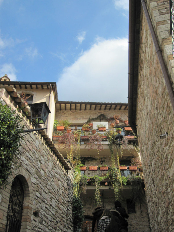 Siena, San Gimignano, Assisi 021