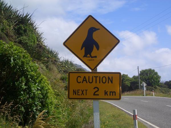 the sign just before we nearly ran over a penguin