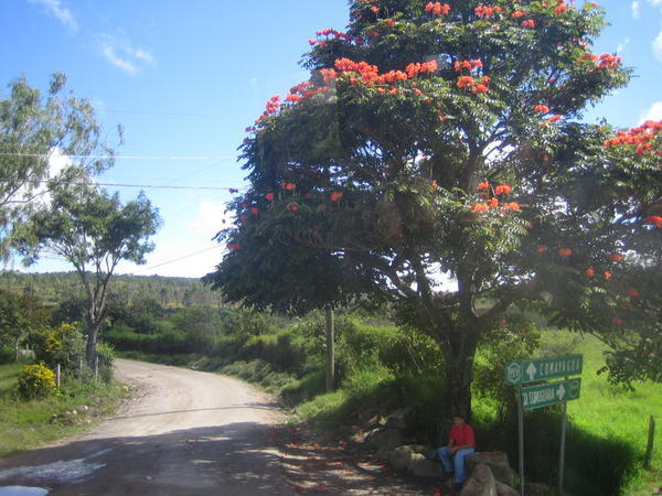 Las rutas de Honduras
