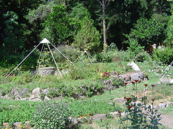 A pyramid garden