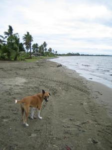 Our first Fijian beach