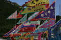 Dragon boat flags