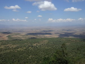 The great rift valley