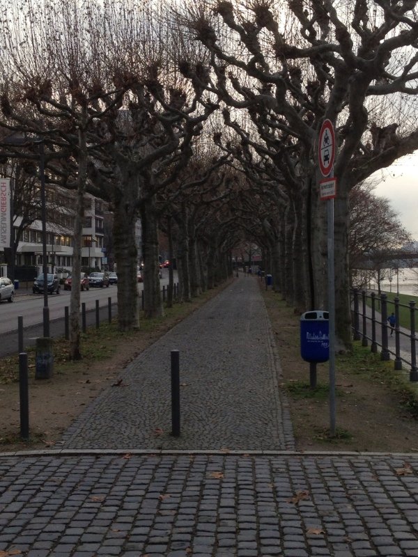 Walkway along the river in Frankfurt