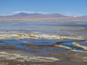 Thermal marshes and volcanoes 
