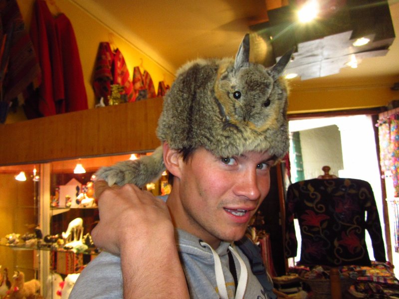 Viscachas hat