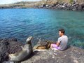 Sea lion chat