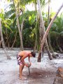 Cracking the coconut