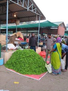 Green Chillies for Sale