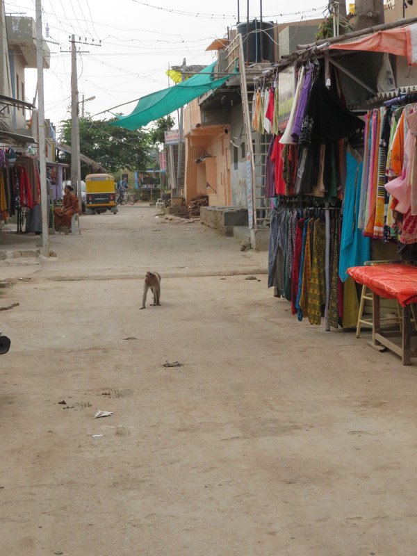 Spot the Monkey...Hampi Bazaar