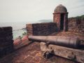 Reis Magos Fort Cannon
