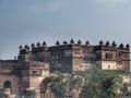 Orchha Fort