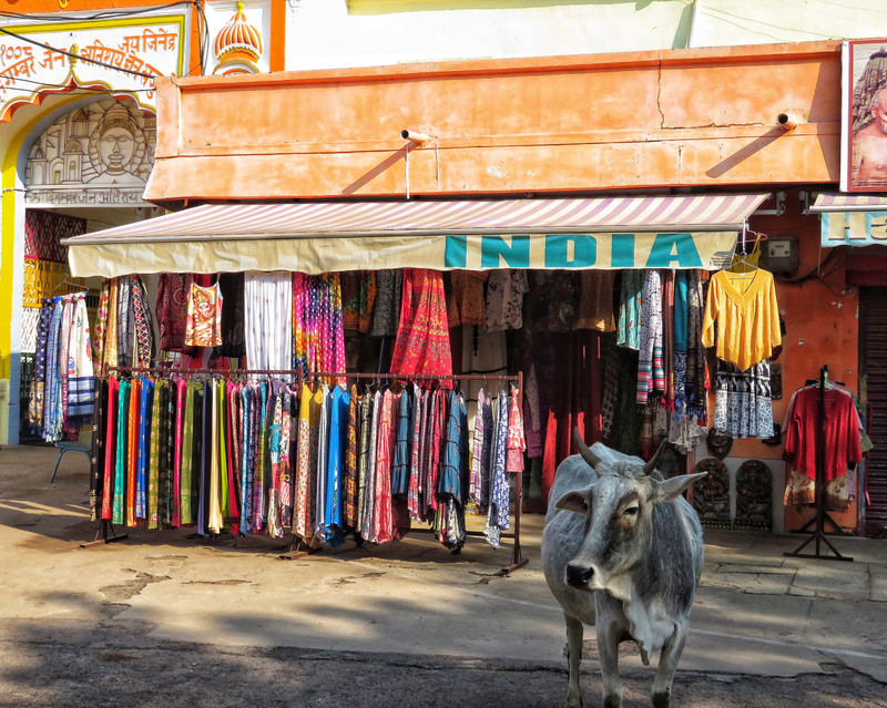 Shop near the Jain Temples between Southern & Eastern Groups