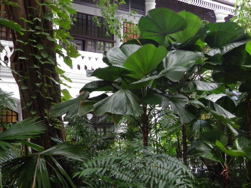 Raffles Hotel Gardens