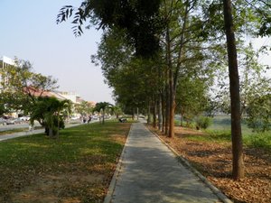 The Walkway Along the River