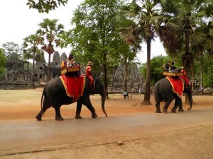 Elephants at Bayon Temple